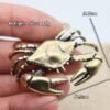 crab-26g